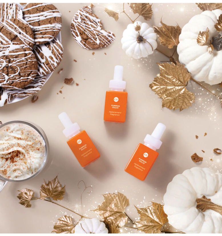 Fall Favorites