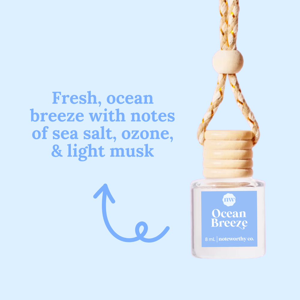 Car Diffuser