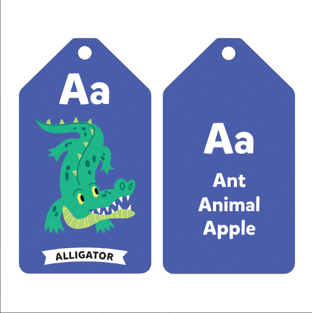 Wildlife ABCs - Ring Flash Cards